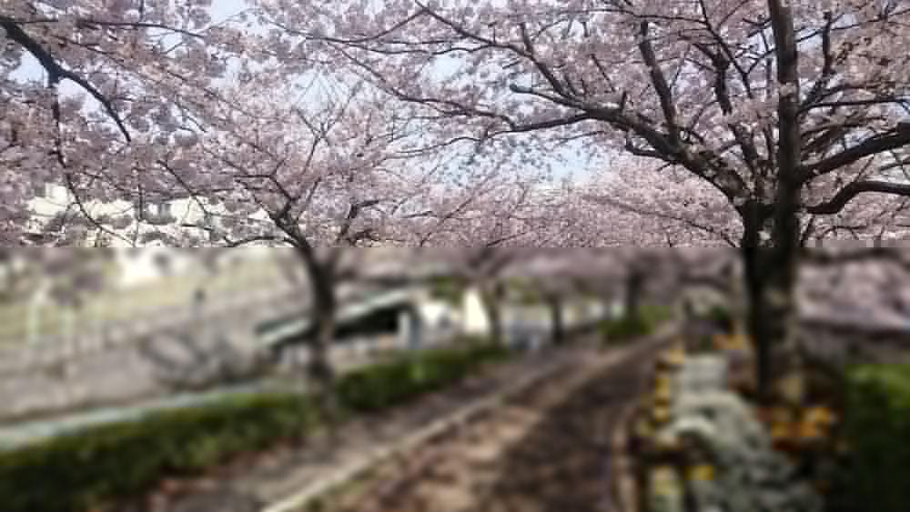 Henn Na Hotel Maihama Tokyo Bay Urayasu Eksteriør bilde